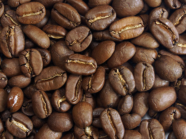 РЧК Сальвадор SHG 1кг Santa-Fe (с НлВк)